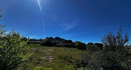 Roquebrune-sur-Argens Terrain à bâtir - 2488775-3701annonce220260418twRDN.jpeg Maisons Open