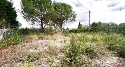 Cailhau Terrain à bâtir - 2488841-10986annonce120260418Cobom.jpeg Maisons Open