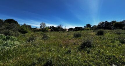 Roquebrune-sur-Argens Terrain à bâtir - 2488847-3701annonce120260418HHzW9.jpeg Maisons Open