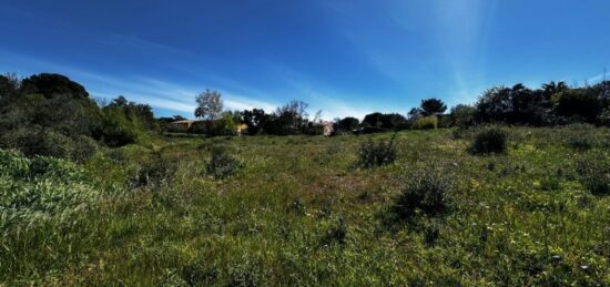 Terrain à bâtir à Roquebrune-sur-Argens, Provence-Alpes-Côte d'Azur