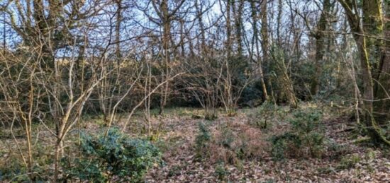 Terrain à bâtir à , Yvelines