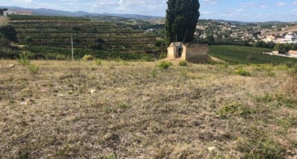 Limoux Terrain à bâtir - 2488845-10986annonce120260418dcRz3.jpeg Maisons Open