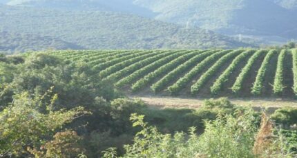 Cournanel Terrain à bâtir - 2488901-10986annonce120260418cx6yq.jpeg Maisons Open