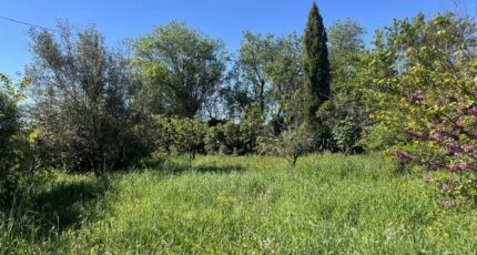 Trausse Terrain à bâtir - 2488919-10986annonce120260418hVp8n.jpeg Maisons Open