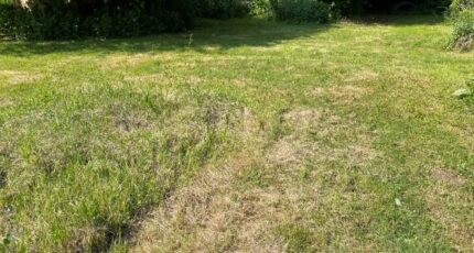 Vert-le-Petit Terrain à bâtir - 2392049-11705annonce420260213wQVO0.jpeg Maisons Open