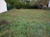  2393525-11705annonce32026021312Et1.jpeg Maisons Open