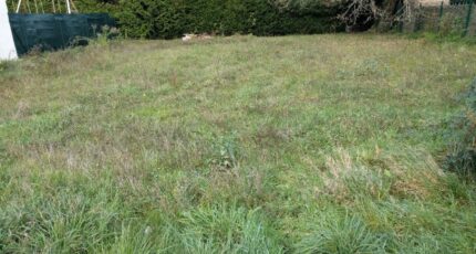 Dourdan Terrain à bâtir - 2392179-11705annonce420260213HQt4Z.jpeg Maisons Open