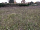  2429161-11705annonce420260213Kr1RQ.jpeg Maisons Open