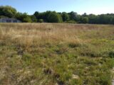  2429168-11705annonce420260213gkwpP.jpeg Maisons Open