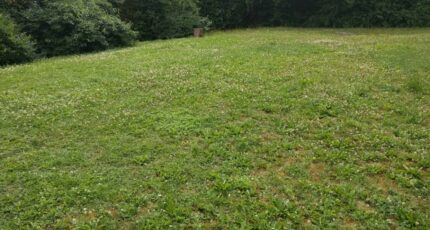 Faÿ-lès-Nemours Terrain à bâtir - 2429179-11705annonce420260213oycSK.jpeg Maisons Open