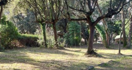 Grasse Terrain à bâtir - 2489053-1837annonce120260419x4JkK.jpeg Maisons Open