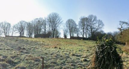 Rivière Terrain à bâtir - 2427284-6159annonce320260212wMu7W.jpeg Maisons Open