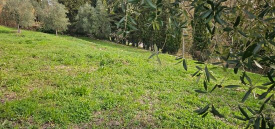 Terrain à bâtir à Valbonne, Provence-Alpes-Côte d'Azur
