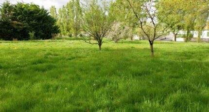 Beaufou Terrain à bâtir - 2489533-11796annonce120260420HXpkH.jpeg Maisons Open