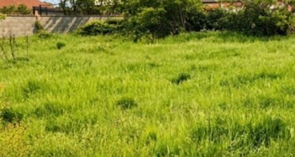 Plaisance-du-Touch Terrain à bâtir - 2485835-11845annonce220260415T01AJ.jpeg Maisons Open