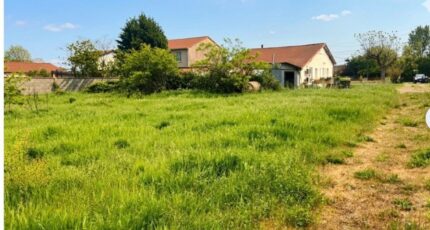 Plaisance-du-Touch Terrain à bâtir - 2485835-11845annonce320260415VJkJe.jpeg Maisons Open