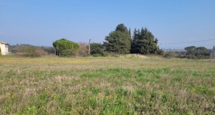 Chamaret Terrain à bâtir - 2489547-812annonce420251229G6HSL.jpeg Maisons Open