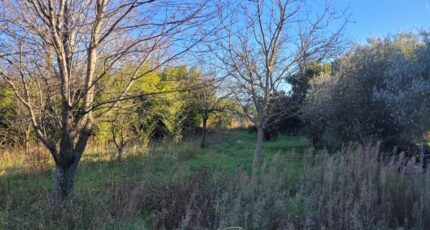 Cruas Terrain à bâtir - 2489580-812annonce320251229xWzTn.jpeg Maisons Open