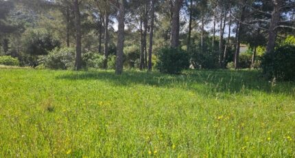 Saint-Raphaël Terrain à bâtir - 2489614-11719annonce120260420atc9i.jpeg Maisons Open