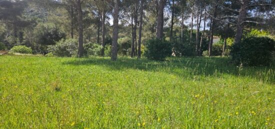 Terrain à bâtir à Saint-Raphaël, Provence-Alpes-Côte d'Azur