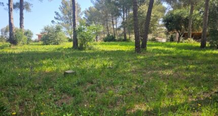 Saint-Raphaël Terrain à bâtir - 2489614-11719annonce220260420D66ag.jpeg Maisons Open