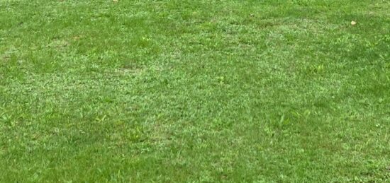 Terrain à bâtir à Saintes, Nouvelle-Aquitaine