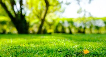 Baulne Terrain à bâtir - 2489635-10829annonce120260420K1GTp.jpeg Maisons Open