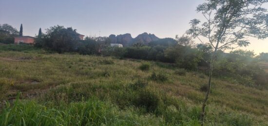 Terrain à bâtir à Roquebrune-sur-Argens, Provence-Alpes-Côte d'Azur