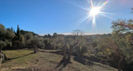 Roquefort-les-Pins Terrain à bâtir - 2489842-11719annonce220260420P6Z5b.jpeg Maisons Open