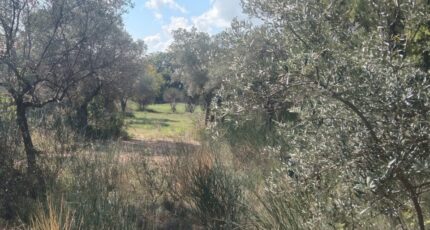 La Bastide-des-Jourdans Terrain à bâtir - 2443140-9917annonce320260227oKFxk.jpeg Maisons Open