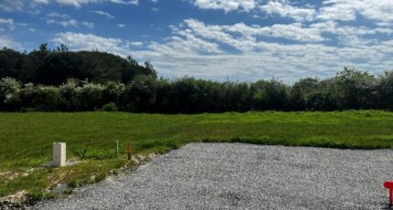 Sallertaine Terrain à bâtir - 2490042-11854annonce120260420pnKSF.jpeg Maisons Open