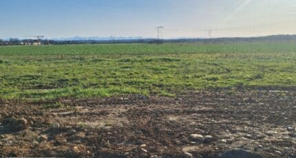 Frouzins Terrain à bâtir - 2489350-3575annonce220260420E6Ab0.jpeg Maisons Open