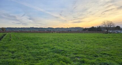 Saint-Laurent-des-Vignes Terrain à bâtir - 2408373-7107annonce220260127cxZ5v.jpeg Maisons Open