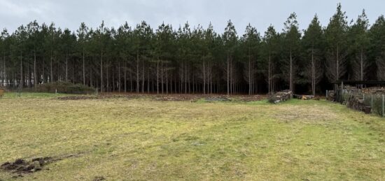 Terrain à bâtir à Le Temple, Nouvelle-Aquitaine