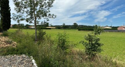 Saint-Gauzens Terrain à bâtir - 2489542-2684annonce120260420mykmX.jpeg Maisons Open