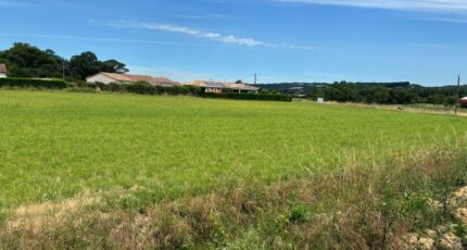 Saint-Gauzens Terrain à bâtir - 2489542-2684annonce220260420rCfbQ.jpeg Maisons Open