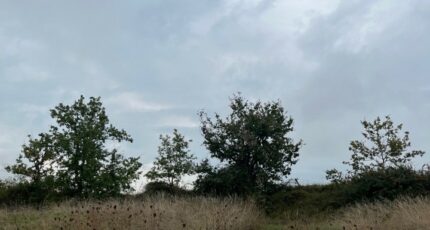 Castelnau-de-Montmiral Terrain à bâtir - 2489501-2684annonce1202604204n7XT.jpeg Maisons Open