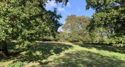 Cailhau Terrain à bâtir - 2490340-11456annonce120260421hIIP2.jpeg Maisons Open