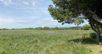 Floure Terrain à bâtir - 2490552-11456annonce1202604218Zah6.jpeg Maisons Open