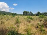  2395640-11137annonce320260116zL4BN.jpeg Maisons Open