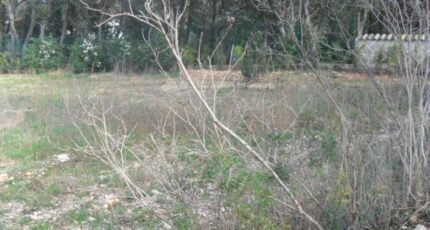 Candillargues Terrain à bâtir - 2490545-3243annonce120260421xGNzx.jpeg Maisons Open