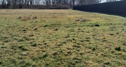 Ludon-Médoc Terrain à bâtir - 2427267-1686annonce120260212oE1yT.jpeg Maisons Open