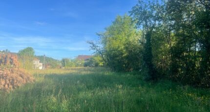 Albi Terrain à bâtir - 2489835-11846annonce120260420gI3ZI.jpeg Maisons Open