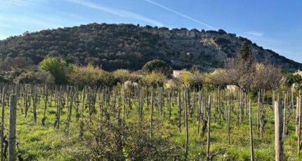 Cornas Terrain à bâtir - 2490379-6150annonce2202604213rm65.jpeg Maisons Open