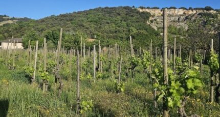 Cornas Terrain à bâtir - 2490379-6150annonce420260421T06DT.jpeg Maisons Open