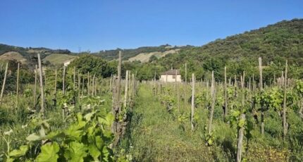 Cornas Terrain à bâtir - 2490379-6150annonce520260421OJU5e.jpeg Maisons Open