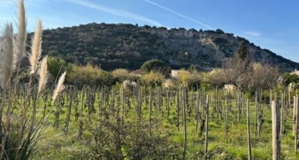 Cornas Terrain à bâtir - 2490395-6150annonce220260421R6HC2.jpeg Maisons Open