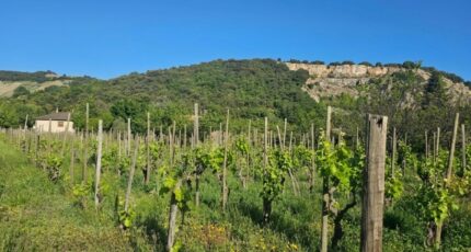 Cornas Terrain à bâtir - 2490395-6150annonce32026042187lpt.jpeg Maisons Open