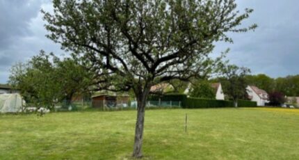 Villabé Terrain à bâtir - 2487381-10885annonce120260416zW5ry.jpeg Maisons Open