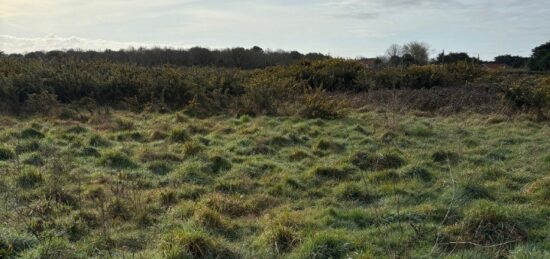 Terrain à bâtir à , Loire-Atlantique
